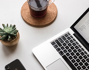  Justo Suspendisse Praesent Volutpat Fringilla.